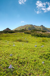 Similar image 961462