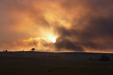 Similar image 961473