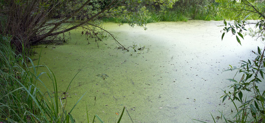 Similar image 961606