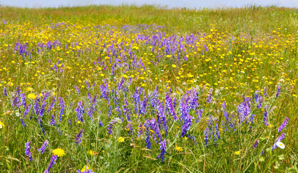 Similar image 961633