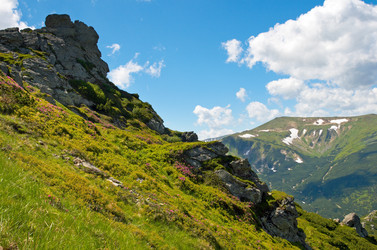 Similar image 961696