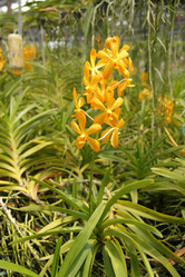 Similar image 961728