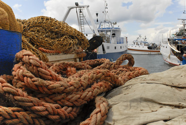 Similar image 961748