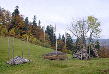 Similar image 961766