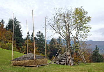 Similar image 961767