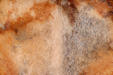 Similar image 961775