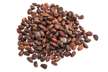 Similar image 961792