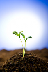 Similar image 961837