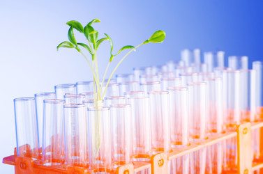 Similar image 961844