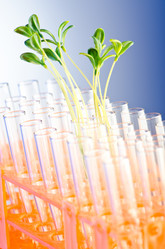 Similar image 961851