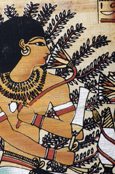 Similar image 961869