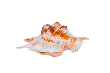 Similar image 961975