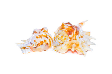 Similar image 961982