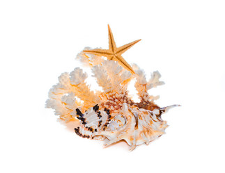 Similar image 961985