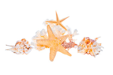 Similar image 961987