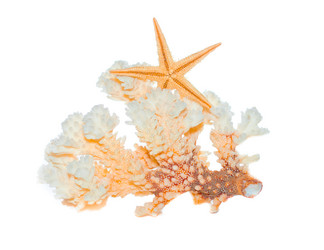 Similar image 961988