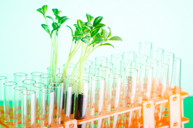 Similar image 962052