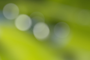 Similar image 962115