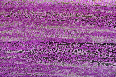 Similar image 962128