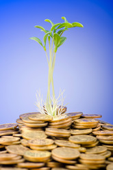 Similar image 962206