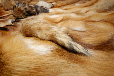 Similar image 962324