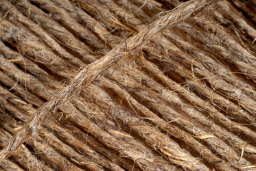 Similar image 962393