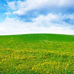 Similar image 962417