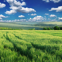 Similar image 962426