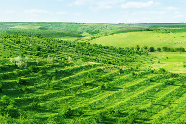 Similar image 962431