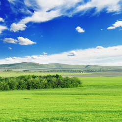 Similar image 962432