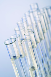 Similar image 962436