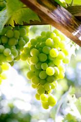 Similar image 962457