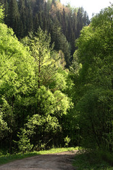 Similar image 962511