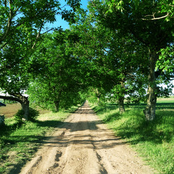 Similar image 962514