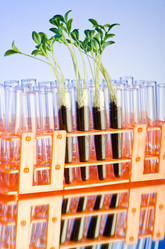 Similar image 962517