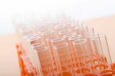 Similar image 962519