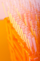 Similar image 962525