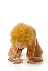 Similar image 962605