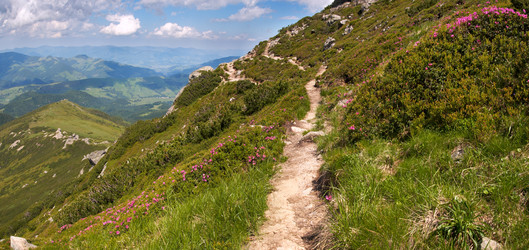 Similar image 962635