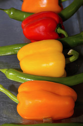 Similar image 962726