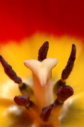 Similar image 962763