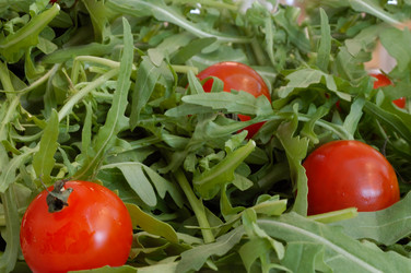 Similar image 962776