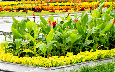 Similar image 962858