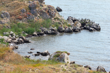 Similar image 962898