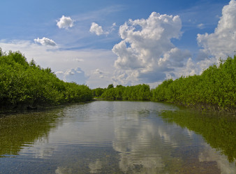 Similar image 962920