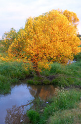 Similar image 962942