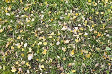 Similar image 963071