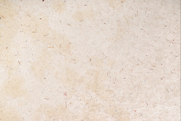 Similar image 963113