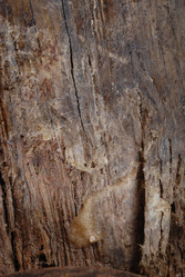 Similar image 963115