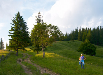 Similar image 963146